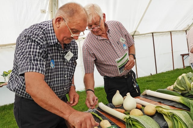 Brothers Ian and Harry Archibald judge the vegetables at Powburn Show 2019.