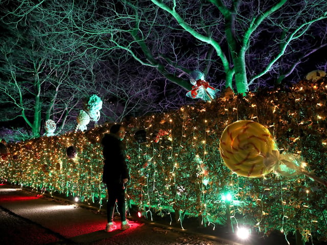 A light installation at the launch of Edinburgh Zoo's Christmas Nights.