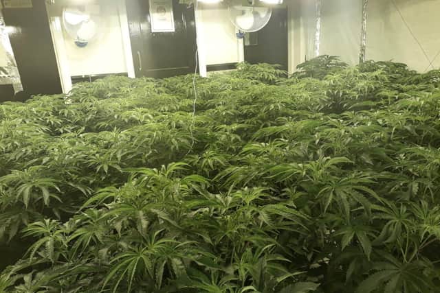 One in two parents are worried about their children using cannabis