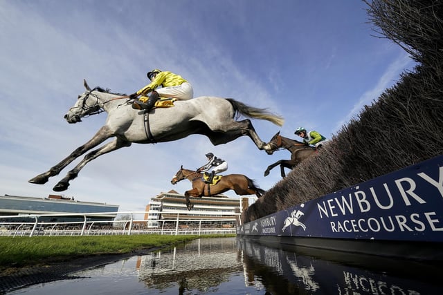 An admirable, consistent servant for the Tizzard family over the years, plying his trade in some of the top Jumps races. The handicapper has finally given him some slack, dropping him to an acceptable mark, but he hasn't won a race for two years and only one grey (Neptune Collonges in 20212) has landed the National spoils in the last 62 years.