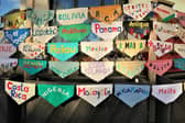 All pennants together