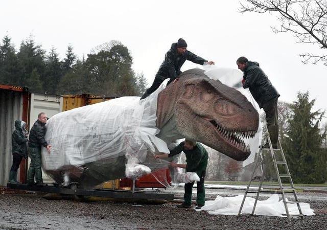 The team at Blair Drummond Safari Park unwrap and check a Tyrannosaurus rex