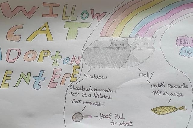 Ellie Brown, aged 12 drew her cats Shadow and Molly and their favourite toys.