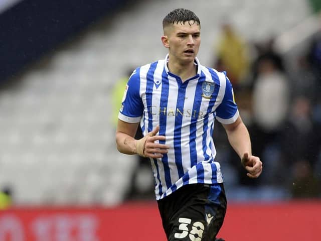 Jordan Storey will be back for Sheffield Wednesday this weekend.