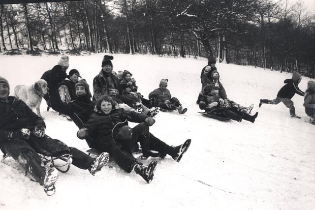 Fun in the snow at Bingham Park, Sheffield, in January 1979