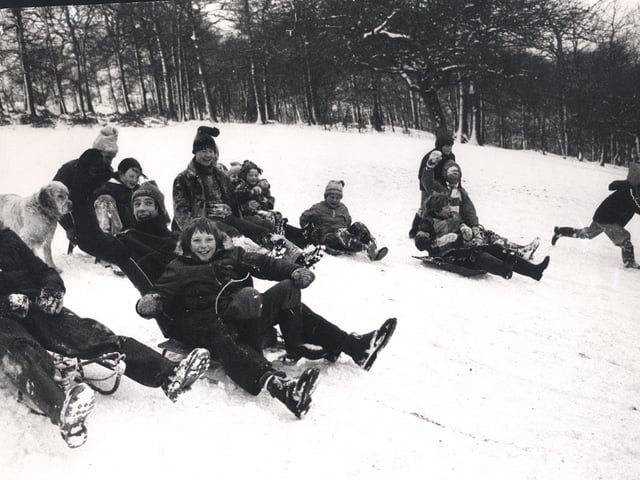 Fun in the snow at Bingham Park, Sheffield, in January 1979