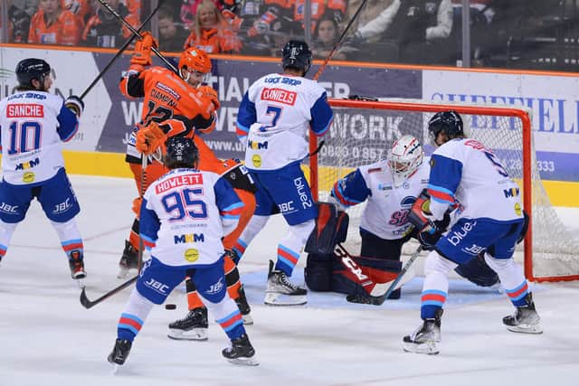 Sheffield Steelers' Daniel Ciampini in action against Dundee Stars. PIcture: Dean Woolley
