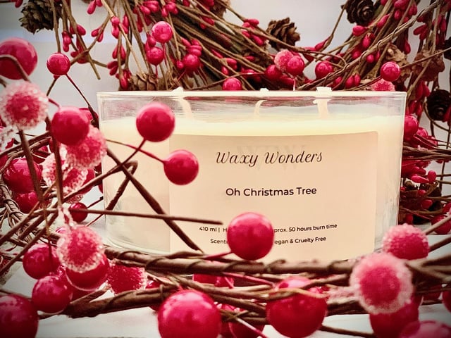 Created by Portsmouth schoolgirls Anastazia Odor and Savannah Paterson, Waxy Wonders is their cruelty-free soy candle and wax melt business selling a variety of scents, from golden berries and frankincense to gingerbread.
To see their full collection and Christmas gifts from £11, go to waxy-wonders.com or @waxywondercandles on Instagram.