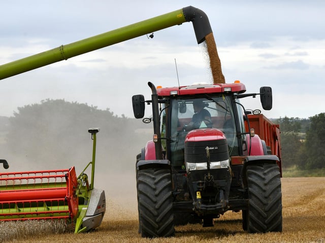 Wheat harvest at Wheatrig Farm, Longniddry.