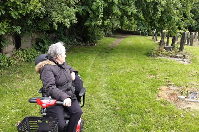 Trees that volunteers would like to see cut back to make Darnall Cemetery safer