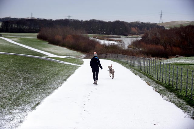 A dog walker was seen in Herrington Country Park, Penshaw as snow fell.