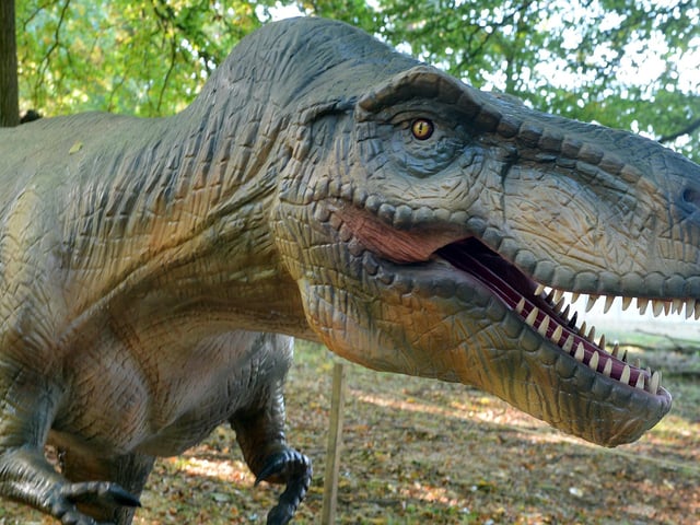 Dinosaurs ranging from T-Rex to Triceratops, apatosaurus and ankylosaurus all feature - how many could you identify?