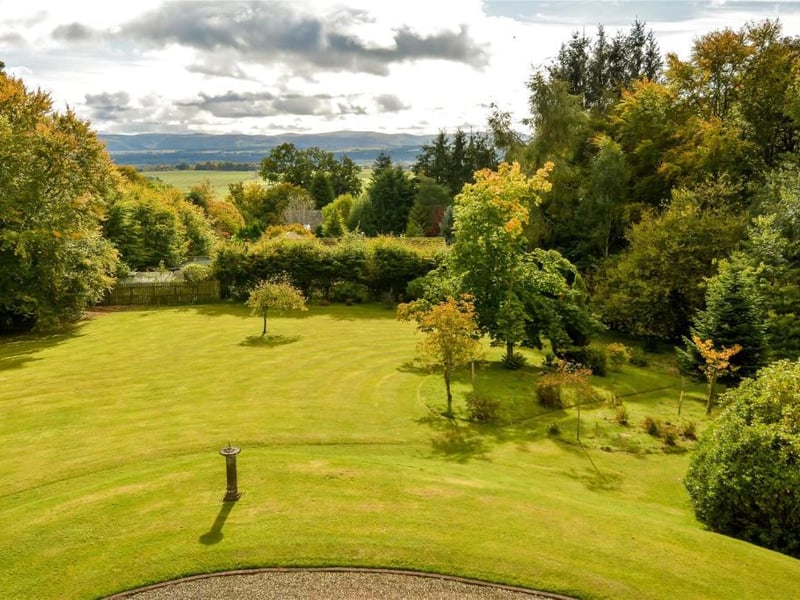 Garden.