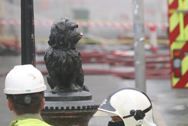 Greyfriars Bobby amid the chaos.