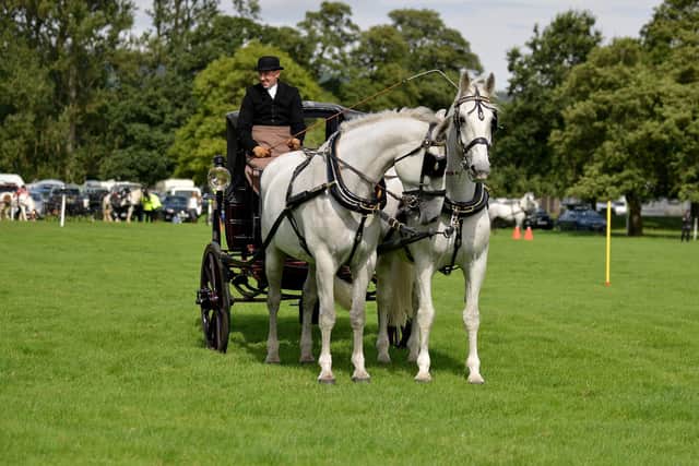 Chatsworth Country Fair in 2019.