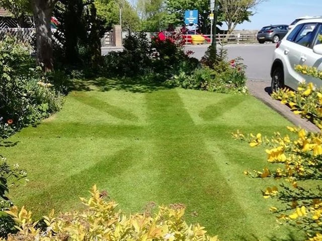 Bryan Littler shared this photo of his lawn.
