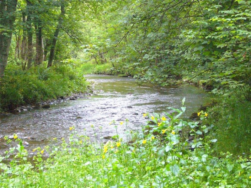 The property includes fishing rights on Heriot Water.