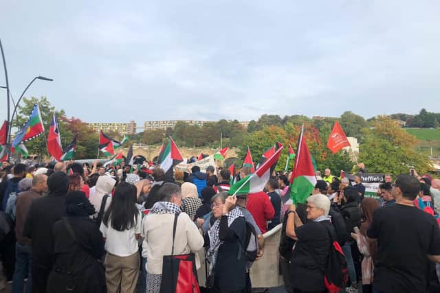 Pro-Palestine protesters outside Sheffield rail station on a demonstration called in solidarity with the people of Gaza. Picture: Claire Chandler