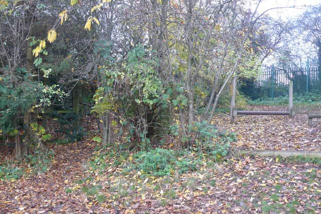 The Millennium Garden at Reignhead Primary