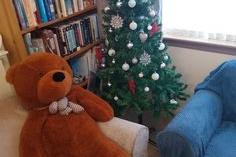 This cuddly toy is not missing out on the festive fun (photo by Didge Mendonca)