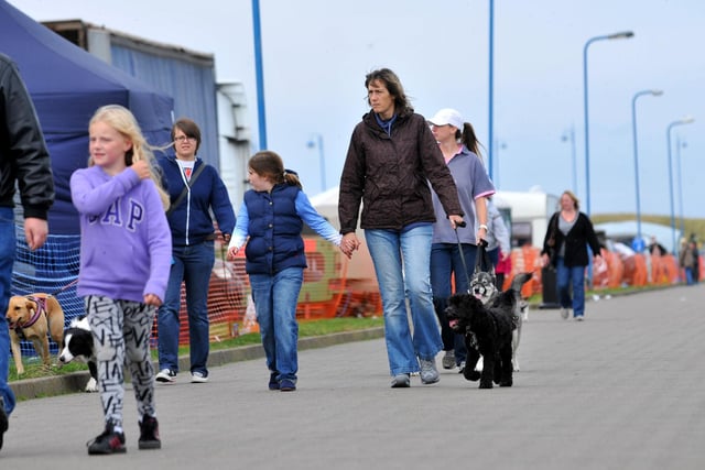 Walkers and their dogs returning from a sponsored dog walk in Hartlepool 9 years ago. Can you spot someone you know?