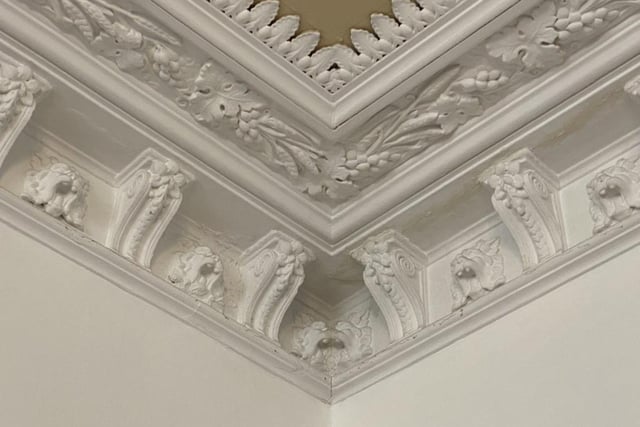Ornate ceiling cornicing.