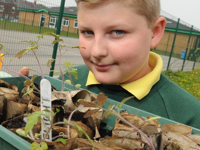 Sharpen Your Spades suggested cutting four flaps into toilet roll and fold them together to form a base.
"Fill the seed pots with some good seed compost and sow your seeds. The pots hold up really well. They can take watering without falling apart."