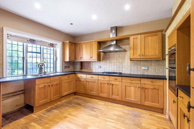 This is what the kitchen looks like.