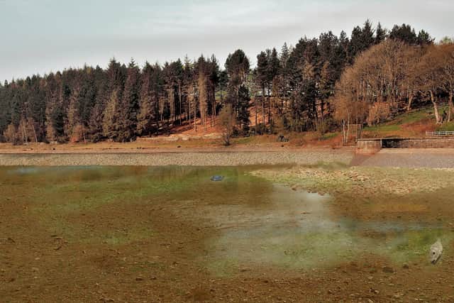 An artist's impression of what Langsett Reservoir could look like in 50 years