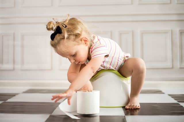A pilot scheme to support parents potty train their children in time for their first day in reception could be rolled out to councils across England after promising results in York.