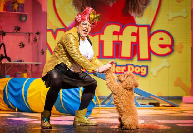 Damian Williams as Dame Trott and Waffle the Wonder Dog in Jack and the Beanstalk. Picture: Pamela Raith