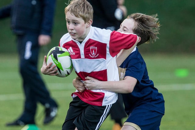 Ollie Donnelly on the ball for Denholm Primary at Hawick's first youth rugby festival of its kind for over two years