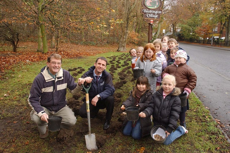 Pupils from St Joseph's RC Primary School were helping to plant snowdrop bulbs in Washington as part of the Northumbria in Bloom campaign in 2008.