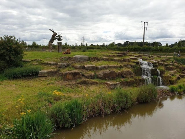 Yorkshire Wildlife Park isn't just one of the best attractions in Doncaster - it's one of the best in the whole of Yorkshire.
Summing up everything you can do here in a couple of paragraphs cannot do it justice. Marvel at the lions, lemurs, tigers, giraffes, capybaras - the list goes on. It's one of Doncaster's crown jewels and is well worth your time.