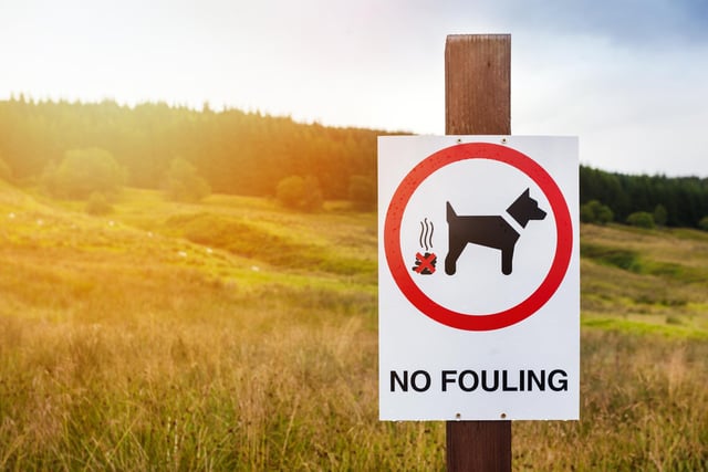 Failure to clean up after your dog can result in an on-the-spot fine between £50 and £80, depending on your local council. Refusal to pay can lead to the case being taken to court, where you could be fined up to £1,000. Some councils have stricter rules and may make it mandatory for owners to carry a poop scoop and disposable bag when walking dogs in public.