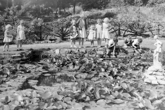 Children looking for fish amongst the lilies in the Peter Pan pond. Photo: Hartlepool Museum Service.