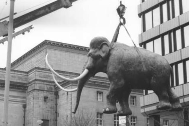 This photo shows a huge sculpture of a mammoth being lifted into place at Barker's Pool in Sheffield city centre. The exact date is unknown