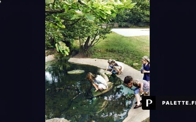 Children doing project work at the pond at Dobcroft Middle School, 20 June 1972