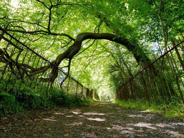 A short circular walk will take you around the Brad Hills, one of the seven hills on which Edinburgh is traditionally said to be built, and promises superb views along the way, including of Arthur's Seat.