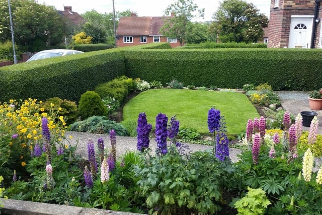 A fantastic garden!