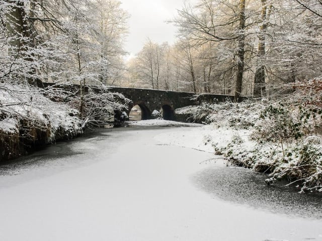 Odds: 4/1. Implied chance of snow on Christmas Day: 20%