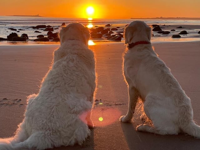 The squad enjoys the sunrise on Warkworth Beach.