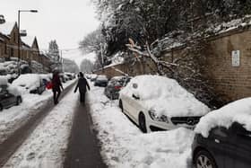 Trees have fallen under the weight of snow in Sheffield today. This picture shows a fallen bough on a car