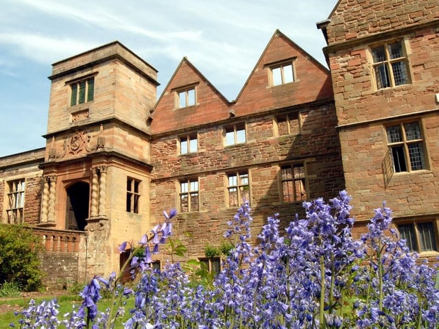 Rufford Abbey is a great place to go for a walk, it is quite flat and has gardens and a lake. It is also a great place to learn how to cycle.
