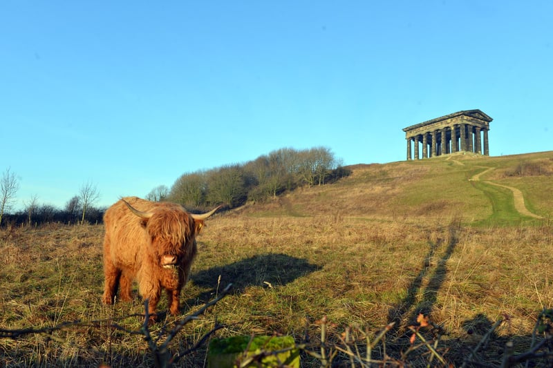 Finally head up to the top of Penshaw Monument for panoramic views of Wearside.