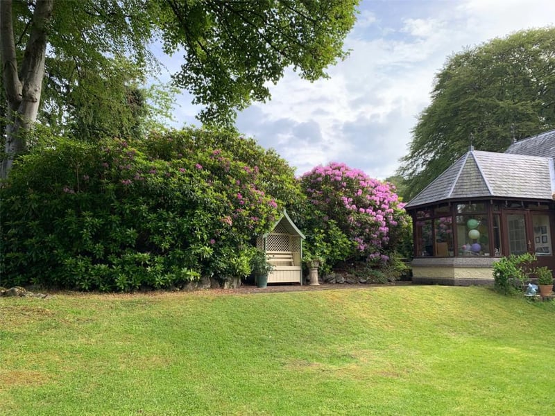 Front garden.