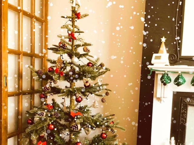 Joanna Fouweather shared her tree.