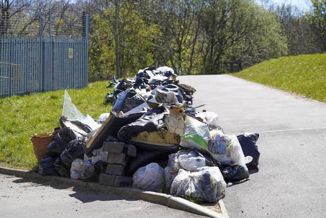 Piles of rubbish have been dumped off Ironside Road. Picture Scott Merrylees
