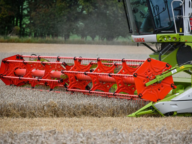 Wheat harvest at Wheatrig Farm, Longniddry.