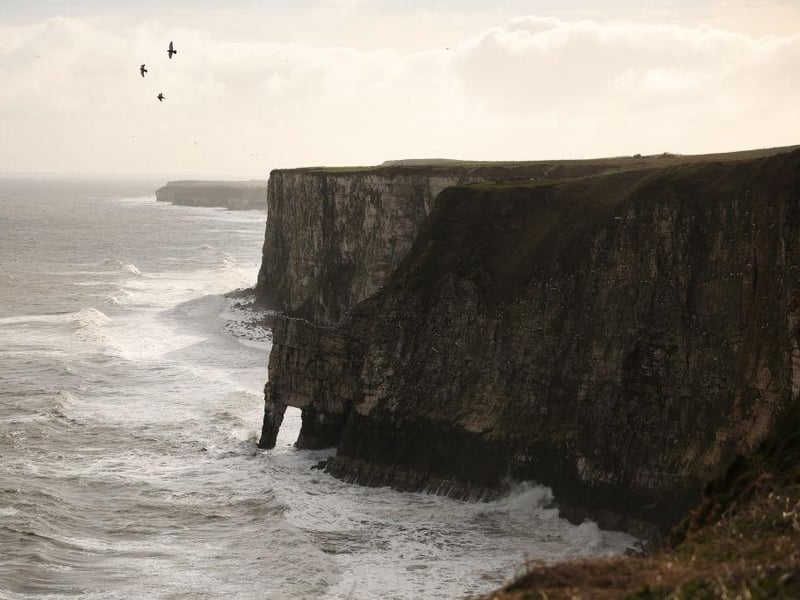 These are the highest chalk cliffs in England. While the puffins have migrated by winter, the sheer scale of the cliffs and the dramatic light make for a powerful, bracing walk along the well-maintained RSPB paths. 🕒 ~1 hour 25 mins
